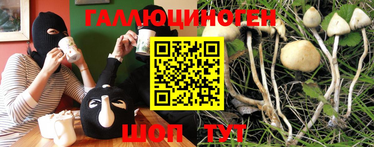 Кострома  Псилоцибиновые грибы Psilocybine cubensis  цены наркотик  Вход с VPN  Галлюциногенные грибы мухоморы 